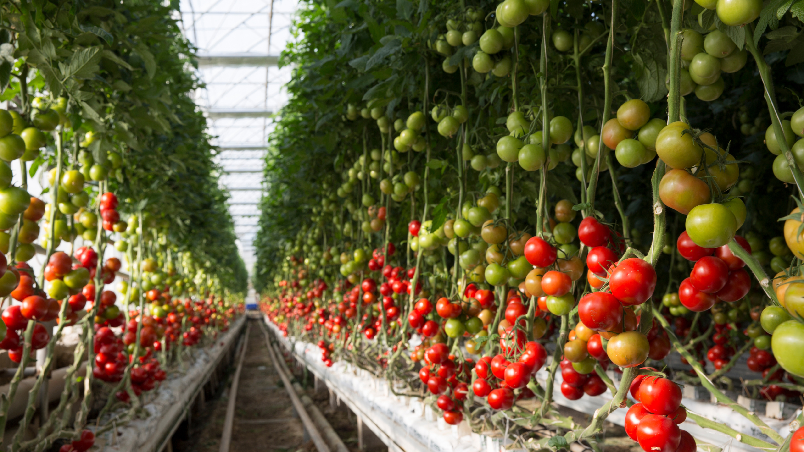 Farm operations and crop production