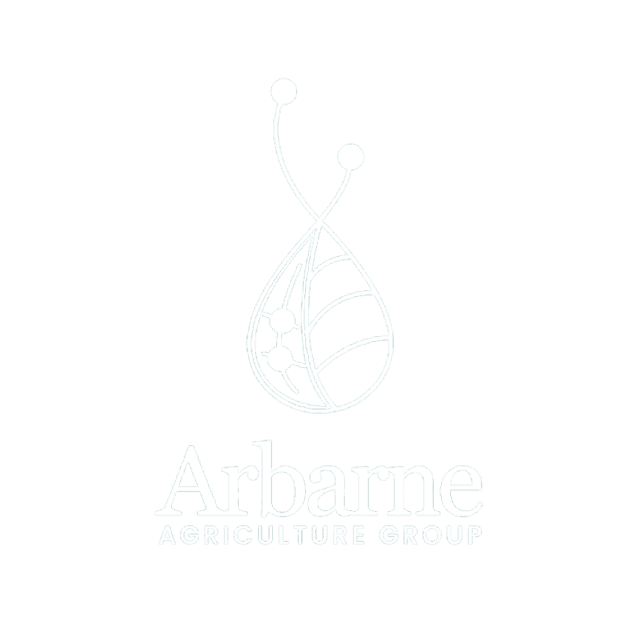 Arbarne Logo